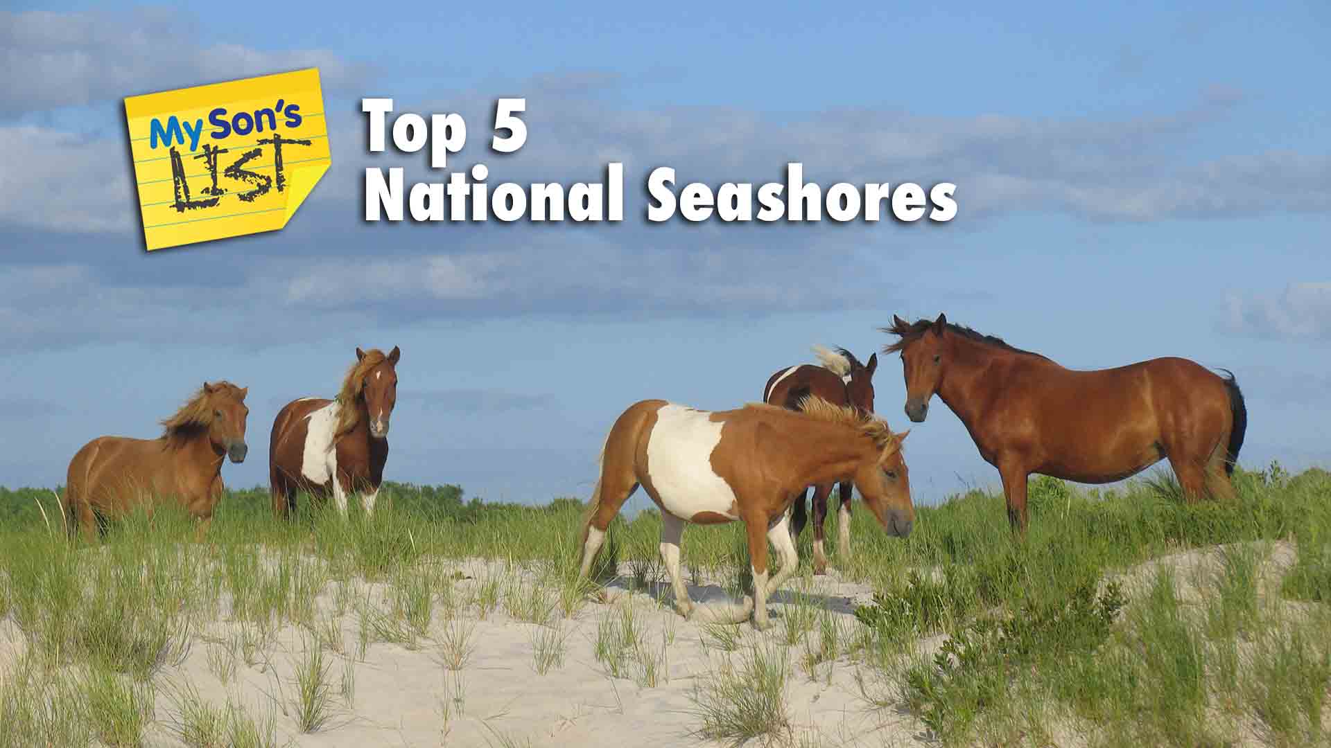 My Son's List of Top 5 National Seashores